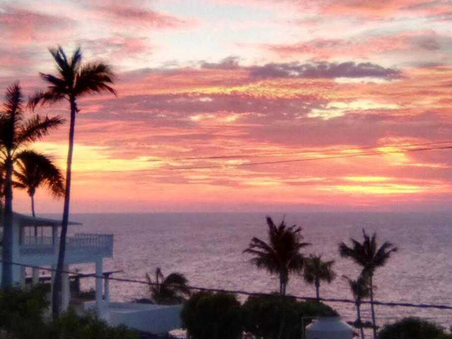 Villa Palmitas Acogedor Departamento Nivel Piscina Gigante Jardines Acapulco Esterno foto